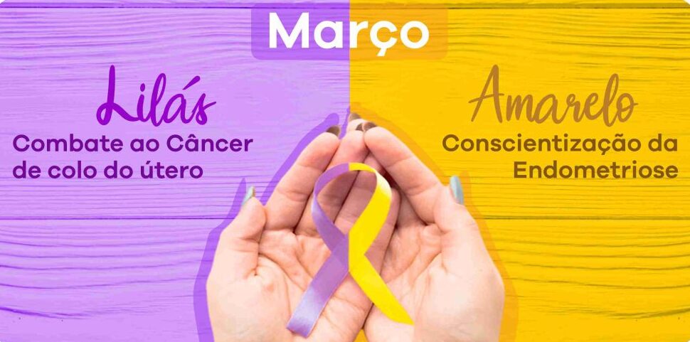 Abertura-site-Marco-Amarelo-e-Lilas-1024x509-e1678468808328.jpg